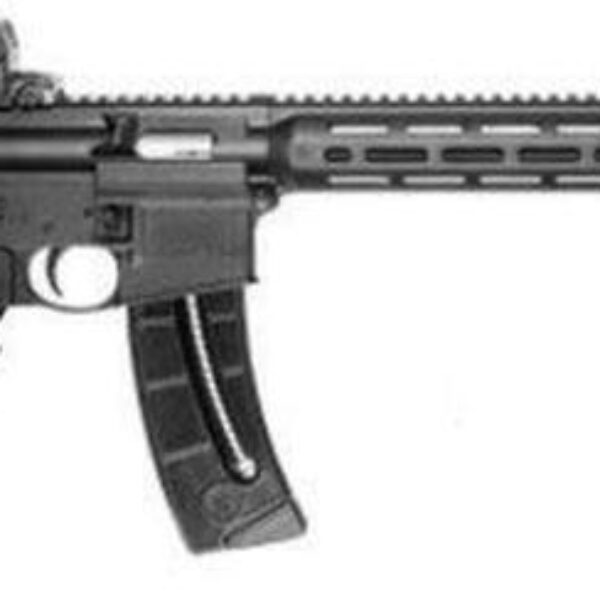 Smith & Wesson M&P 15-22 Sport Rifle