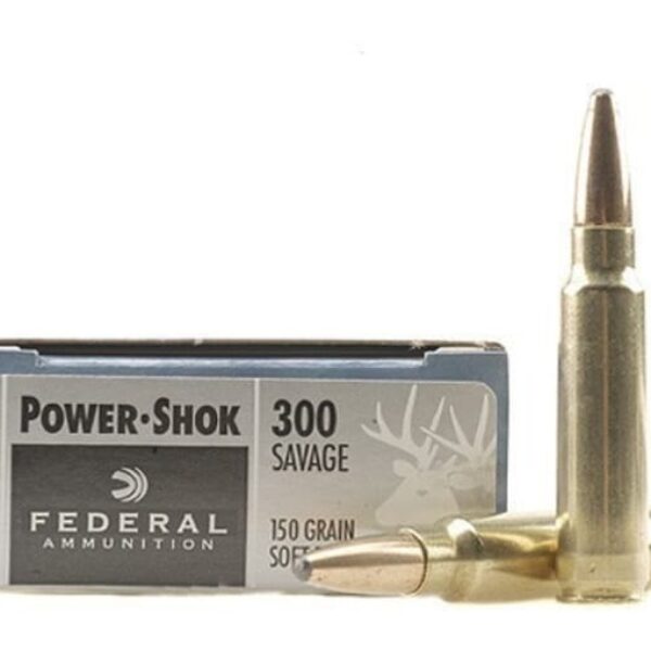 Hornady .300 Savage Ammo