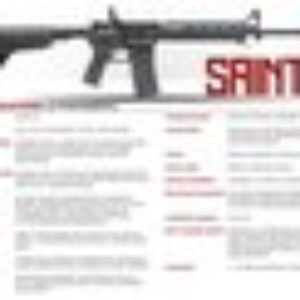 Springfield Armory Saint AR-15