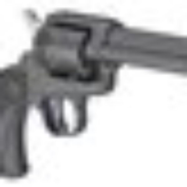736676020027_1__61229.1575655191-1 Ruger Wrangler