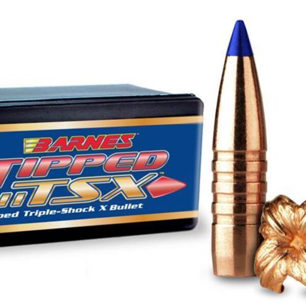 Barnes Tipped TSX .416in 350gr BT