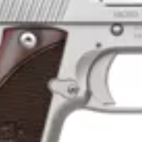 Kimber Micro 9 Stainless