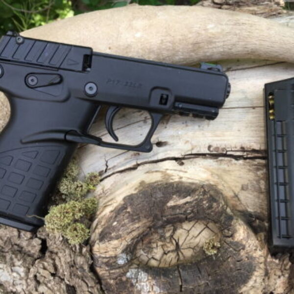 Kel-Tec P17